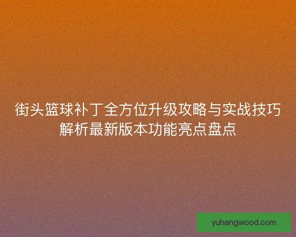 街头篮球补丁全方位升级攻略与实战技巧解析最新版本功能亮点盘点