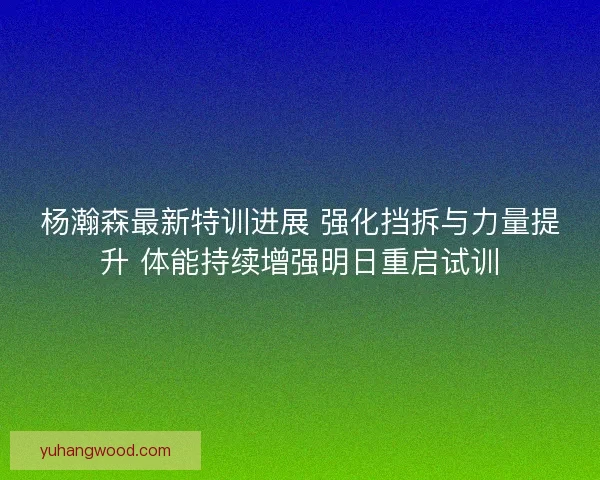 杨瀚森最新特训进展 强化挡拆与力量提升 体能持续增强明日重启试训