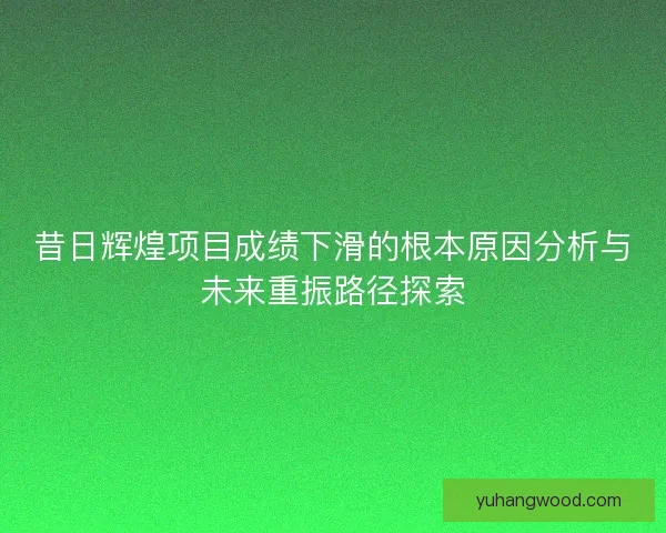 昔日辉煌项目成绩下滑的根本原因分析与未来重振路径探索