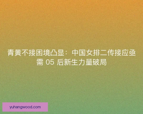 青黄不接困境凸显：中国女排二传接应亟需 05 后新生力量破局