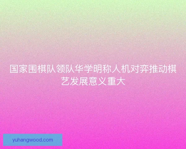 国家围棋队领队华学明称人机对弈推动棋艺发展意义重大